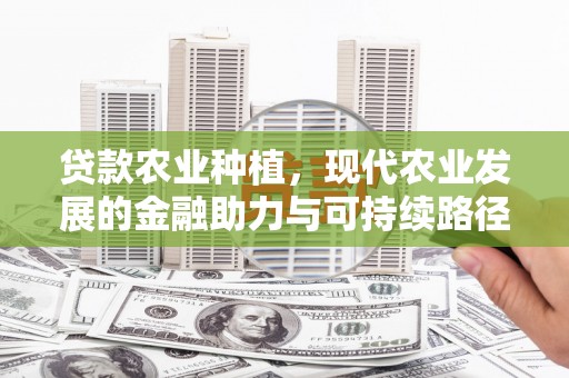 麦寮贷款农业种植，现代农业发展的金融助力与可持续路径