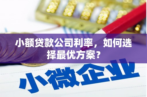 麦寮小额贷款公司利率，如何选择最优方案？