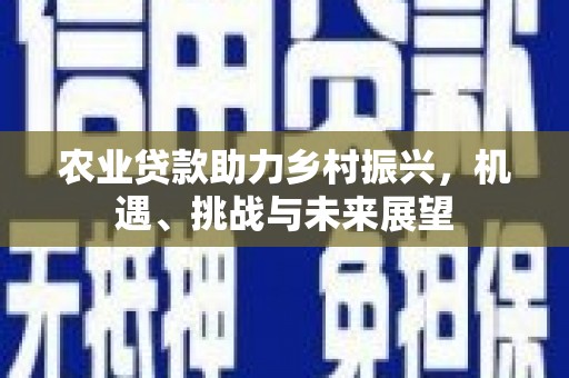 麦寮农业贷款助力乡村振兴，机遇、挑战与未来展望