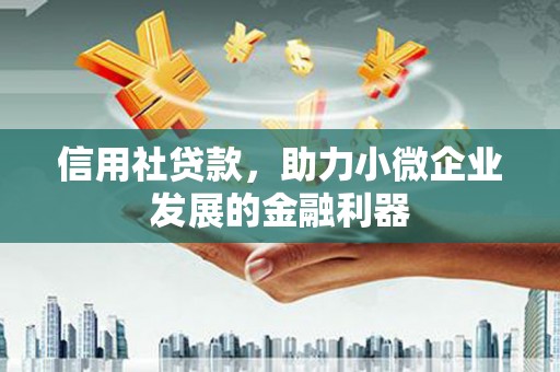 麦寮信用社贷款，助力小微企业发展的金融利器