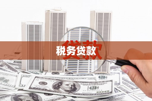 麦寮税务贷款