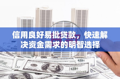 麦寮信用良好易批贷款，快速解决资金需求的明智选择