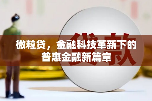 麦寮微粒贷，金融科技革新下的普惠金融新篇章