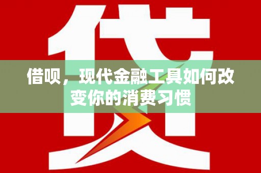 麦寮借呗，现代金融工具如何改变你的消费习惯