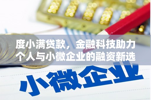 麦寮度小满贷款，金融科技助力个人与小微企业的融资新选择