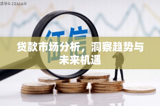 麦寮贷款市场分析，洞察趋势与未来机遇