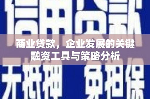 麦寮商业贷款，企业发展的关键融资工具与策略分析