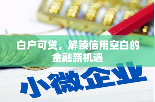 麦寮白户可贷，解锁信用空白的金融新机遇