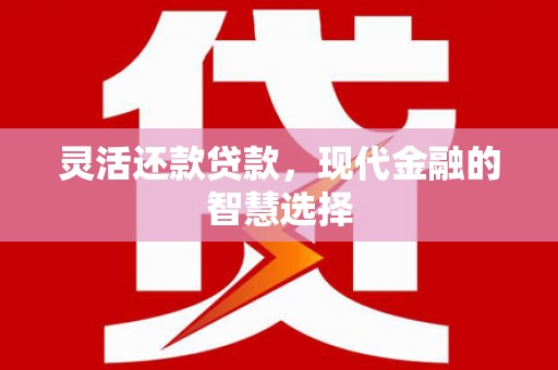 麦寮灵活还款贷款，现代金融的智慧选择