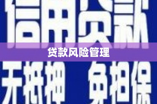 麦寮贷款风险管理