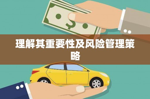 麦寮理解其重要性及风险管理策略