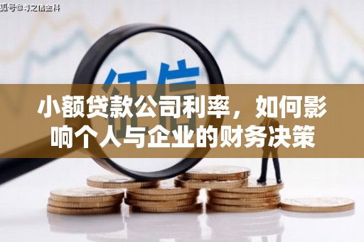 麦寮小额贷款公司利率，如何影响个人与企业的财务决策