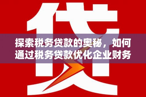 麦寮探索税务贷款的奥秘，如何通过税务贷款优化企业财务