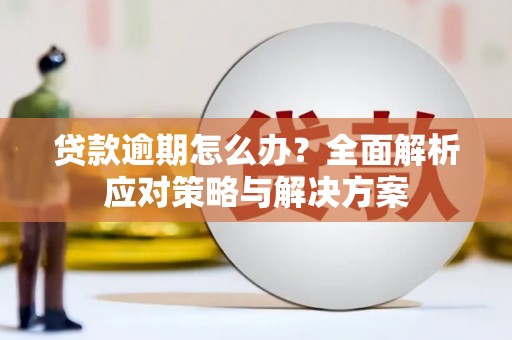 麦寮贷款逾期怎么办？全面解析应对策略与解决方案