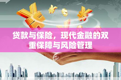 麦寮贷款与保险，现代金融的双重保障与风险管理