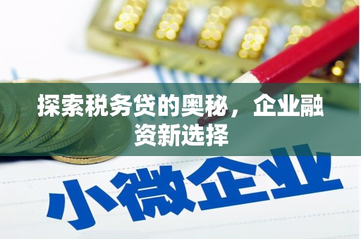 麦寮探索税务贷的奥秘，企业融资新选择