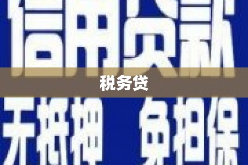 麦寮税务贷