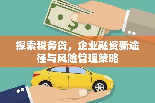 麦寮探索税务贷，企业融资新途径与风险管理策略