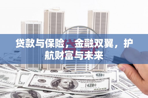 麦寮贷款与保险，金融双翼，护航财富与未来