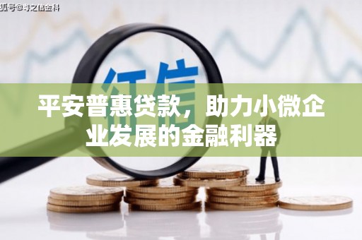 麦寮平安普惠贷款，助力小微企业发展的金融利器