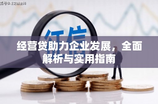 麦寮经营贷助力企业发展，全面解析与实用指南