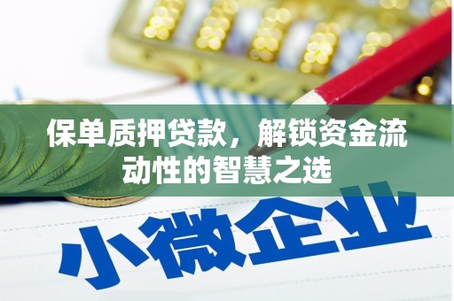 麦寮保单质押贷款，解锁资金流动性的智慧之选
