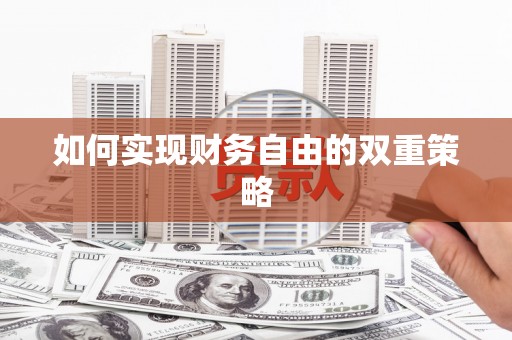 麦寮如何实现财务自由的双重策略
