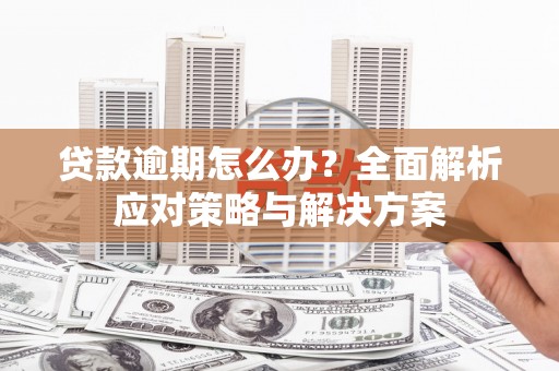 麦寮贷款逾期怎么办？全面解析应对策略与解决方案
