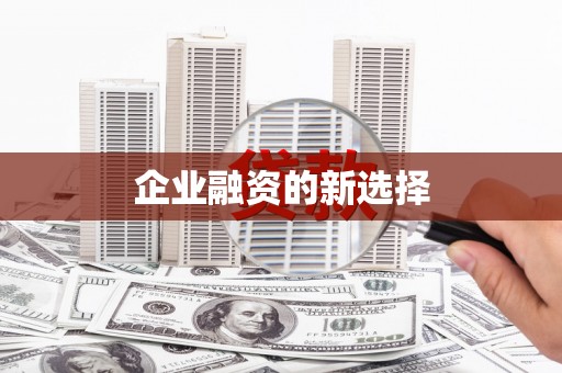 麦寮企业融资的新选择