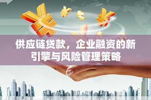 麦寮供应链贷款，企业融资的新引擎与风险管理策略