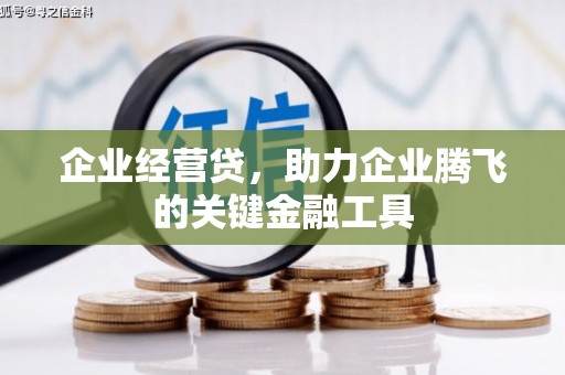 麦寮企业经营贷，助力企业腾飞的关键金融工具