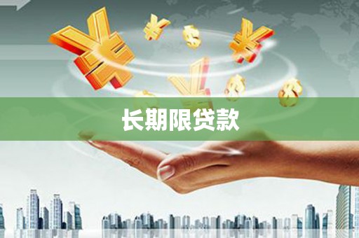 麦寮长期限贷款