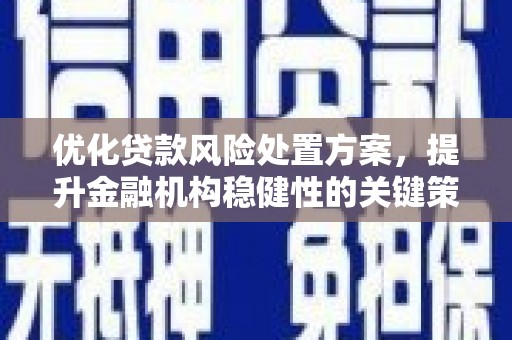 麦寮优化贷款风险处置方案，提升金融机构稳健性的关键策略