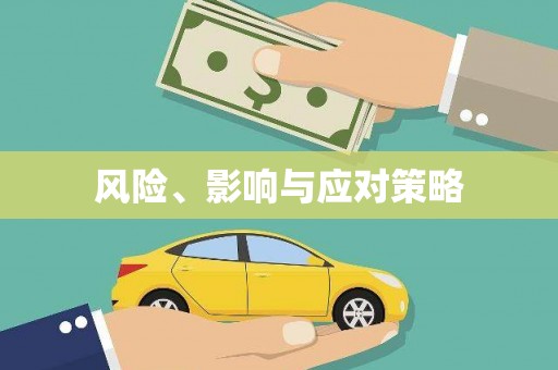 麦寮风险、影响与应对策略