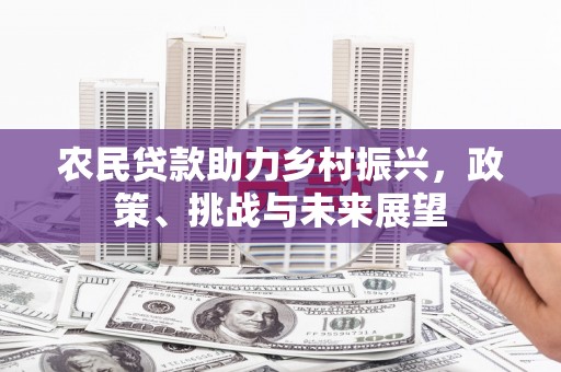 麦寮农民贷款助力乡村振兴，政策、挑战与未来展望