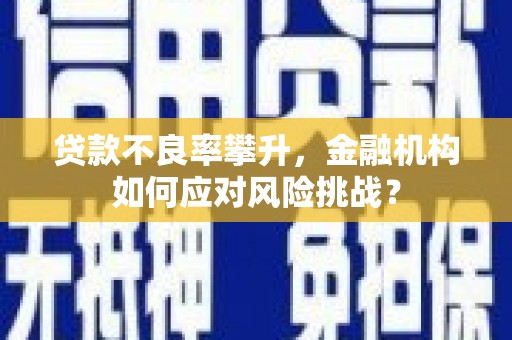 麦寮贷款不良率攀升，金融机构如何应对风险挑战？