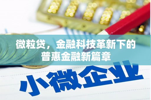 麦寮微粒贷，金融科技革新下的普惠金融新篇章
