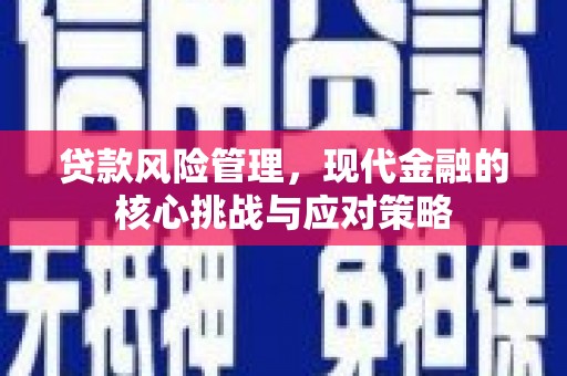 麦寮贷款风险管理，现代金融的核心挑战与应对策略
