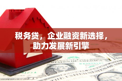 麦寮税务贷，企业融资新选择，助力发展新引擎