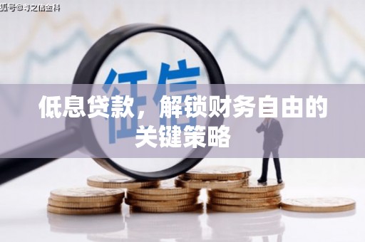 麦寮低息贷款，解锁财务自由的关键策略