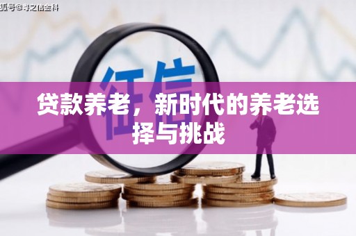 麦寮贷款养老，新时代的养老选择与挑战