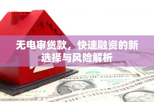 麦寮无电审贷款，快速融资的新选择与风险解析