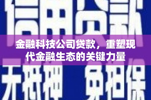 麦寮金融科技公司贷款，重塑现代金融生态的关键力量