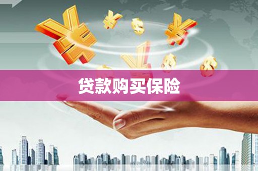 麦寮贷款购买保险