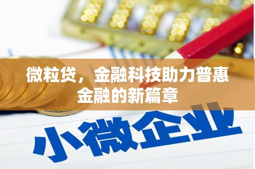 麦寮微粒贷，金融科技助力普惠金融的新篇章