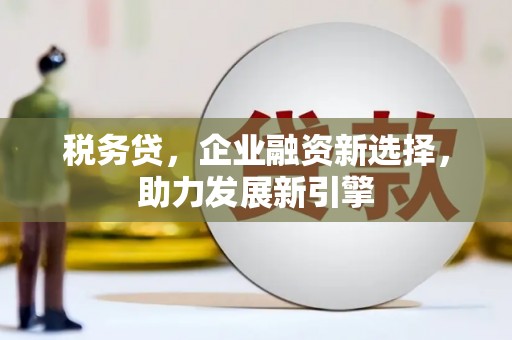 麦寮税务贷，企业融资新选择，助力发展新引擎