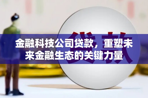 麦寮金融科技公司贷款，重塑未来金融生态的关键力量
