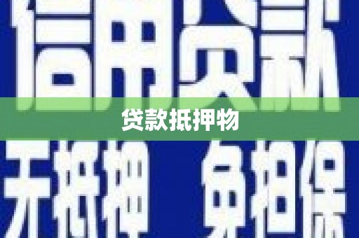 麦寮贷款抵押物