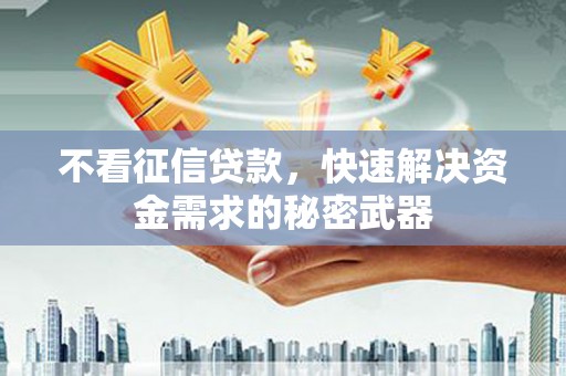 麦寮不看征信贷款，快速解决资金需求的秘密武器