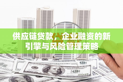 麦寮供应链贷款，企业融资的新引擎与风险管理策略